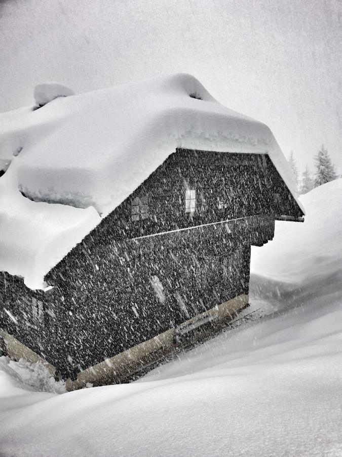 Das Bergerleben Sonnenalpe Nassfeld Ngoại thất bức ảnh